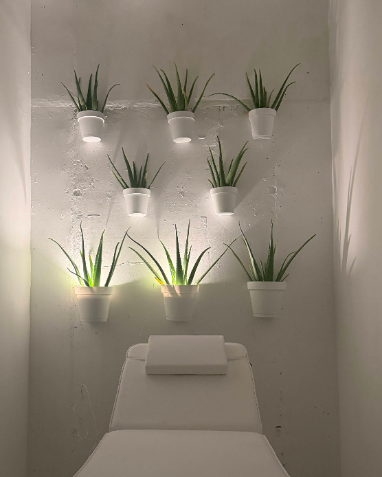 Ambiente del local